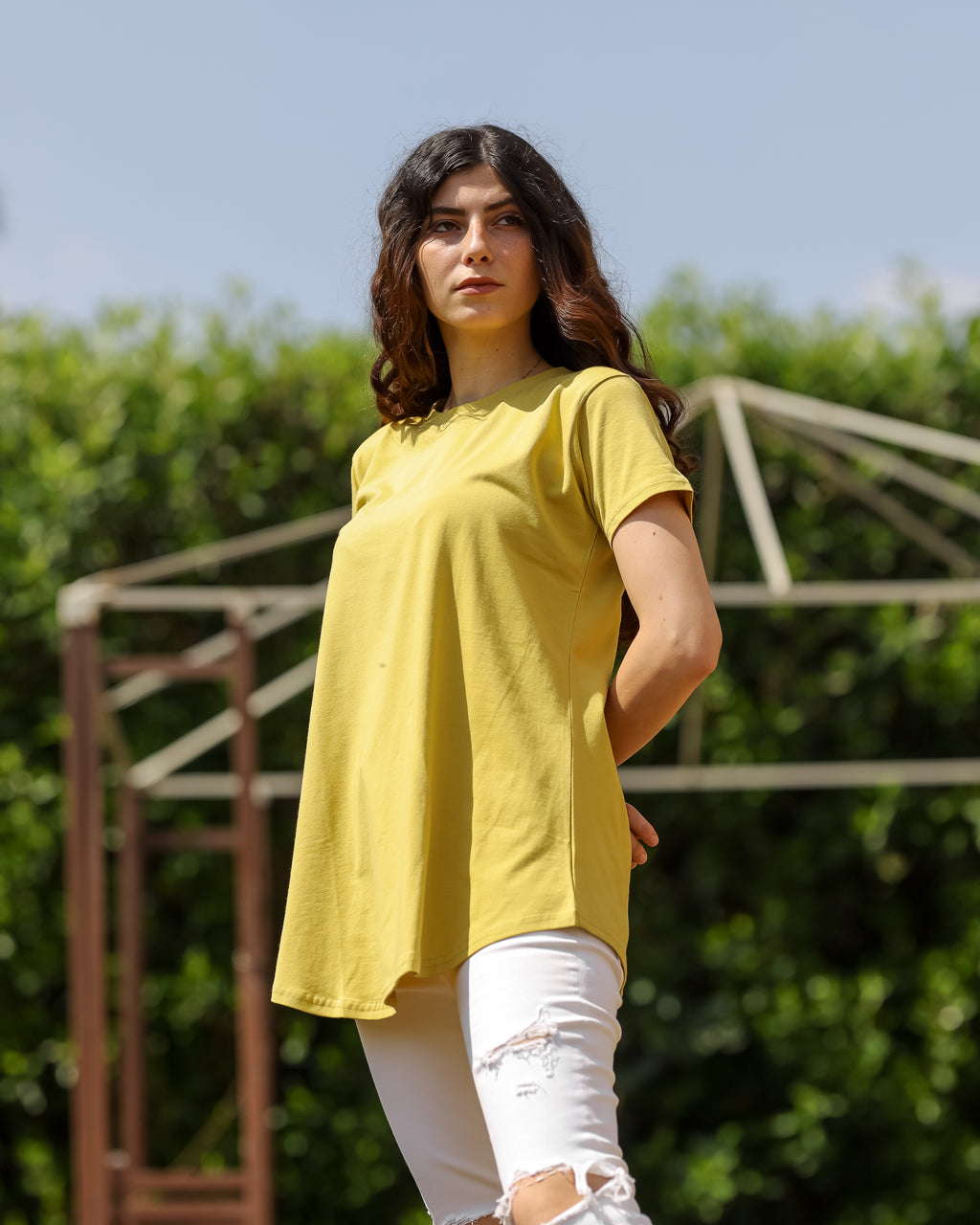 T shirt cotton